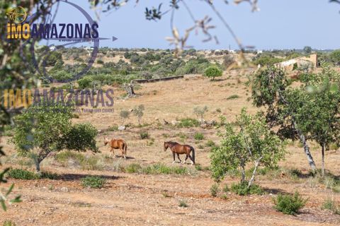 Landejendom i Lagoa, Faro, Lagoa - € 2.800.000 | Ref: 06-415 - foto 7