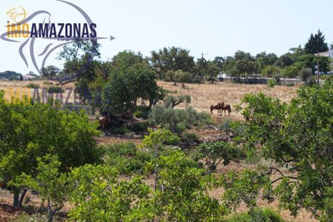 Helårsgrund i Lagoa, Faro, Lagoa - € 2.800.000 | Ref: 06-415/1 - foto 2