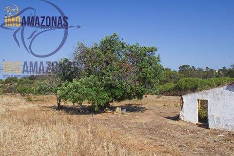 Helårsgrund i Lagoa, Faro, Lagoa - € 2.800.000 | Ref: 06-415/1 - foto 5