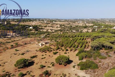 Helårsgrund i Lagoa, Faro, Lagoa - € 2.800.000 | Ref: 06-415/1 - foto 6