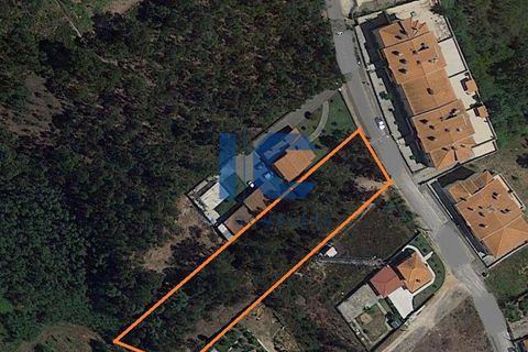 Helårsgrund i Agueda, Aveiro, Agueda - € 165.000 | Ref: 20190300105 - foto 2