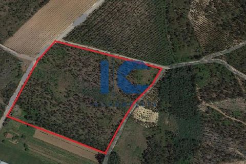 Helårsgrund i Agueda, Aveiro, Agueda - € 224.000 | Ref: 20190600104 - foto 3