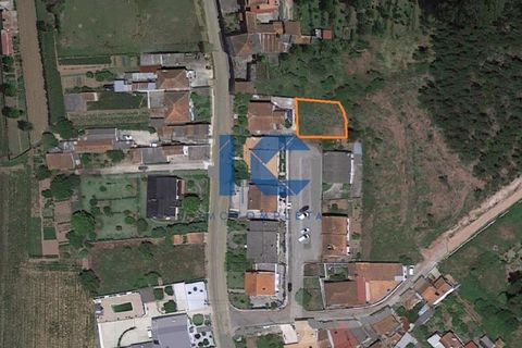 Helårsgrund i Agueda, Aveiro, Agueda - € 37.500 | Ref: 20190900602 - foto 2