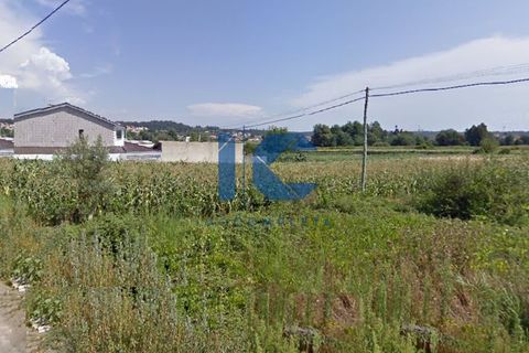 Helårsgrund i Agueda, Aveiro, Agueda - € 29.000 | Ref: 20200200906 - foto 2