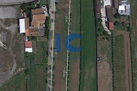 Helårsgrund i Agueda, Aveiro, Agueda - € 29.000 | Ref: 20200200906 - foto 3