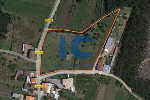 Helårsgrund i Agueda, Aveiro, Agueda - € 125.000 | Ref: 20200600102 - foto 1