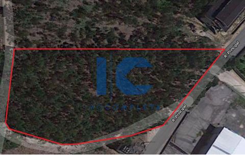Helårsgrund i Agueda, Aveiro, Agueda - € 90.000 | Ref: 20201100401 - foto 2