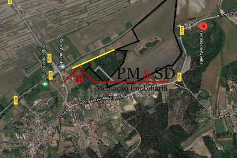 Helårsgrund i Soure, Coimbra, Soure - € 450.000 | Ref: PM028 - foto 1
