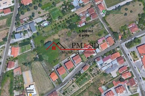 Helårsgrund i Coimbra, Coimbra, Coimbra - € 395.000 | Ref: PM047 - foto 2