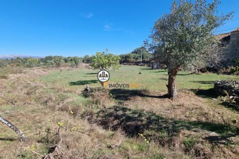 Helårsgrund i Castelo Branco, Castelo Branco, Castelo Branco - € 16.500 | Ref: 21721 - foto 5