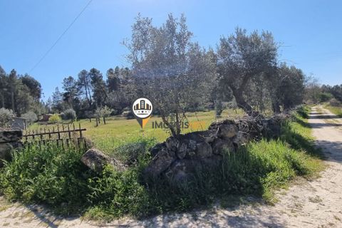 Helårsgrund i Castelo Branco, Castelo Branco, Castelo Branco - € 16.500 | Ref: 21721 - foto 6