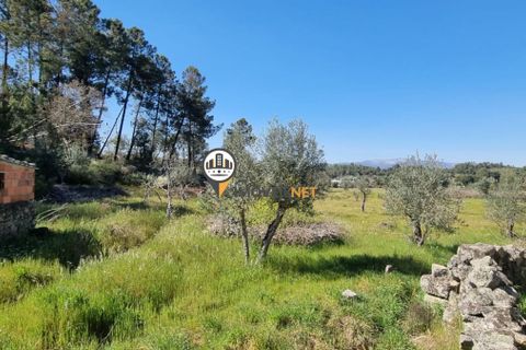 Helårsgrund i Castelo Branco, Castelo Branco, Castelo Branco - € 16.500 | Ref: 21721 - foto 8