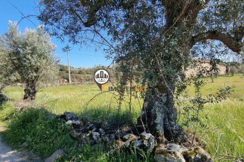 Helårsgrund i Castelo Branco, Castelo Branco, Castelo Branco - € 16.500 | Ref: 21721 - foto 10