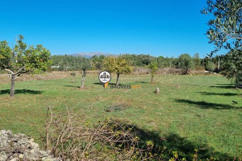 Helårsgrund i Castelo Branco, Castelo Branco, Castelo Branco - € 16.500 | Ref: 21721 - foto 11