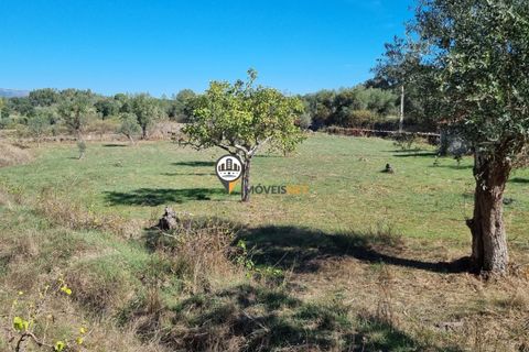 Helårsgrund i Castelo Branco, Castelo Branco, Castelo Branco - € 16.500 | Ref: 21721 - foto 12