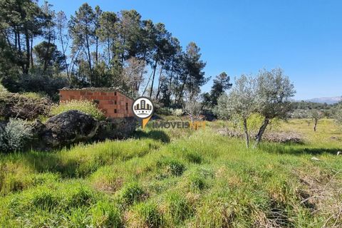 Helårsgrund i Castelo Branco, Castelo Branco, Castelo Branco - € 16.500 | Ref: 21721 - foto 1