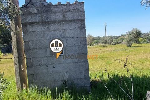 Helårsgrund i Castelo Branco, Castelo Branco, Castelo Branco - € 16.500 | Ref: 21721 - foto 2