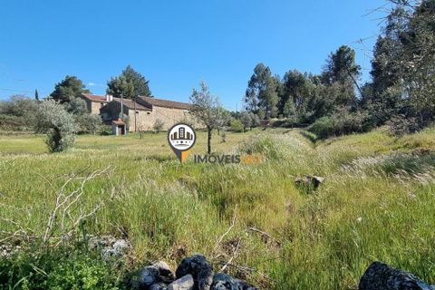 Helårsgrund i Castelo Branco, Castelo Branco, Castelo Branco - € 16.500 | Ref: 21721 - foto 15
