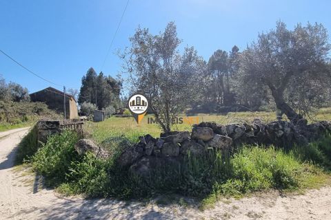 Helårsgrund i Castelo Branco, Castelo Branco, Castelo Branco - € 16.500 | Ref: 21721 - foto 16