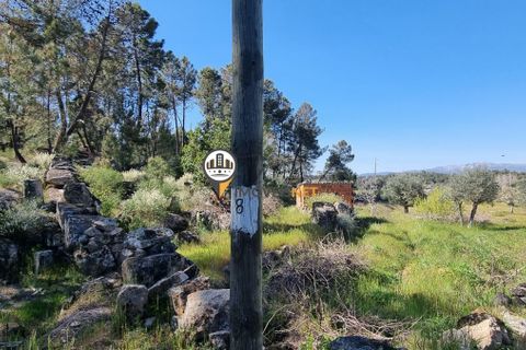 Helårsgrund i Castelo Branco, Castelo Branco, Castelo Branco - € 16.500 | Ref: 21721 - foto 17