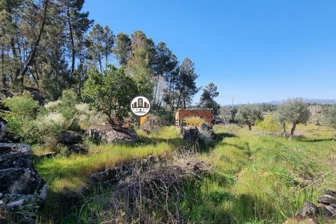 Helårsgrund i Castelo Branco, Castelo Branco, Castelo Branco - € 16.500 | Ref: 21721 - foto 18