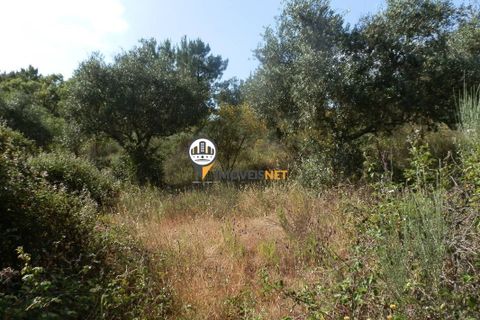 Helårsgrund i Castelo Branco, Castelo Branco, Castelo Branco - € 8.000 | Ref: 2055 - foto 4