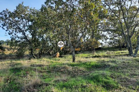 Helårsgrund i Castelo Branco, Castelo Branco, Castelo Branco - € 250.000 | Ref: 2114 - foto 2