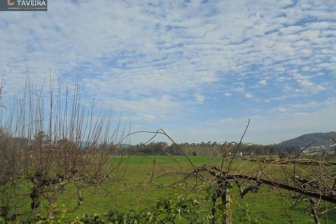 Villa i Barcelos, Braga, Barcelos - € 480.000 | Ref: 2218 - foto 17