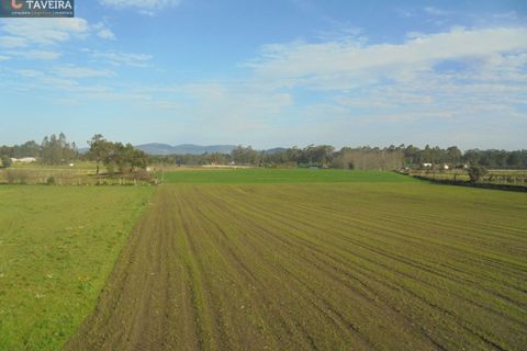 Villa i Barcelos, Braga, Barcelos - € 480.000 | Ref: 2218 - foto 21