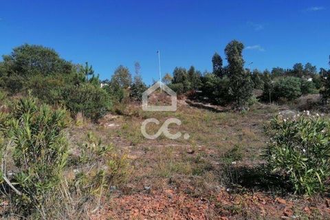 Helårsgrund i Torres Vedras, Lisbon, Torres Vedras - € 150.000 | Ref: 321/T/00724 - foto 6