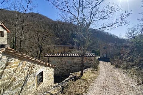 Landejendom i Gubbio, Perugia, Gubbio - € 850.000 | Ref: FFT01S - foto 11