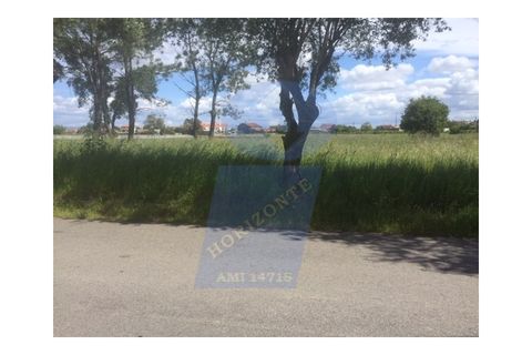 Terra a Sosa, Aveiro, Sosa - € 42.500 | Ref: TER_622 - foto 2