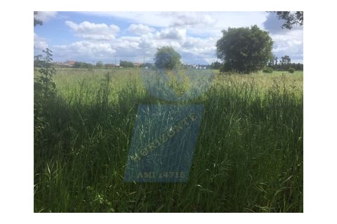 Terra a Sosa, Aveiro, Sosa - € 42.500 | Ref: TER_622 - foto 4