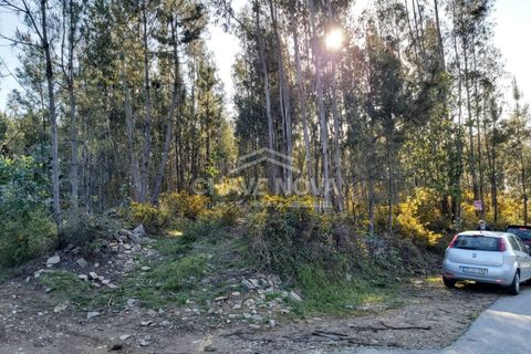 Helårsgrund i Cinfaes, Viseu, Cinfaes - € 24.000 | Ref: OD/01073 - foto 2