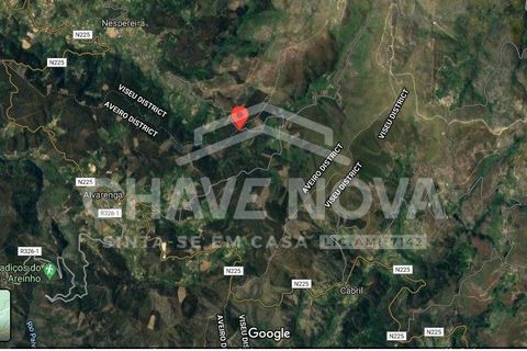 Helårsgrund i Cinfaes, Viseu, Cinfaes - € 24.000 | Ref: OD/01073 - foto 3