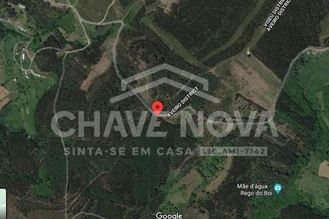 Helårsgrund i Cinfaes, Viseu, Cinfaes - € 24.000 | Ref: OD/01073 - foto 4