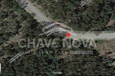 Helårsgrund i Cinfaes, Viseu, Cinfaes - € 24.000 | Ref: OD/01073 - foto 5