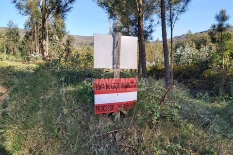 Helårsgrund i Cinfaes, Viseu, Cinfaes - € 24.000 | Ref: OD/01073 - foto 6
