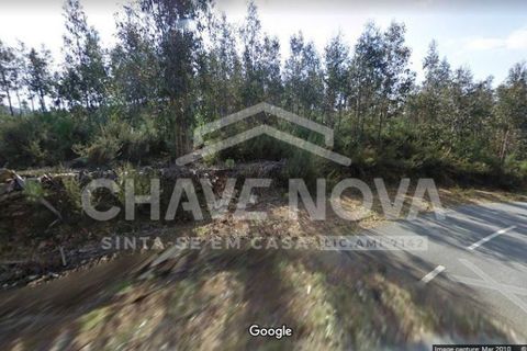 Helårsgrund i Cinfaes, Viseu, Cinfaes - € 24.000 | Ref: OD/01073 - foto 7
