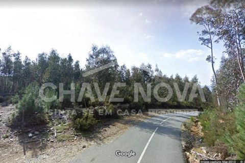 Helårsgrund i Cinfaes, Viseu, Cinfaes - € 24.000 | Ref: OD/01073 - foto 8