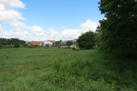 Helårsgrund i Seia, Guarda, Seia - € 350.000 | Ref: 21016 - foto 4