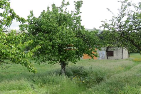 Helårsgrund i Seia, Guarda, Seia - € 350.000 | Ref: 21016 - foto 5