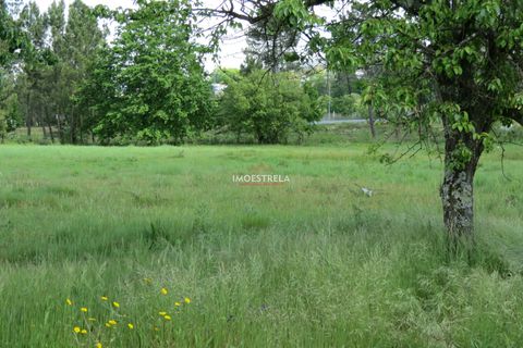 Helårsgrund i Seia, Guarda, Seia - € 350.000 | Ref: 21016 - foto 6