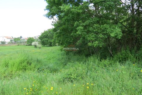 Helårsgrund i Seia, Guarda, Seia - € 350.000 | Ref: 21016 - foto 8