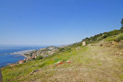 Terra a Cipressa, Imperia, Cipressa - € 360.000 | Ref: T174 - foto 6