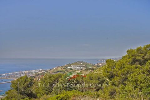 Terra a Cipressa, Imperia, Cipressa - € 360.000 | Ref: T174 - foto 7
