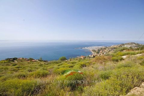 Terra a Cipressa, Imperia, Cipressa - € 360.000 | Ref: T174 - foto 8