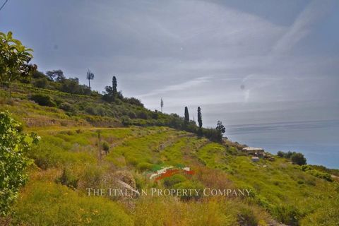 Terra a Cipressa, Imperia, Cipressa - € 360.000 | Ref: T174 - foto 9