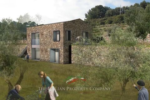 Terra a Cipressa, Imperia, Cipressa - € 360.000 | Ref: T174 - foto 10