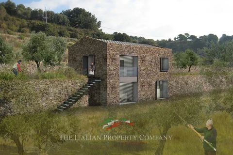 Terra a Cipressa, Imperia, Cipressa - € 360.000 | Ref: T174 - foto 11